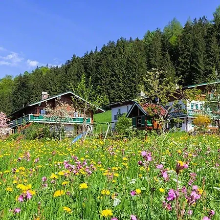 Farm stay Haus Michinglehen *